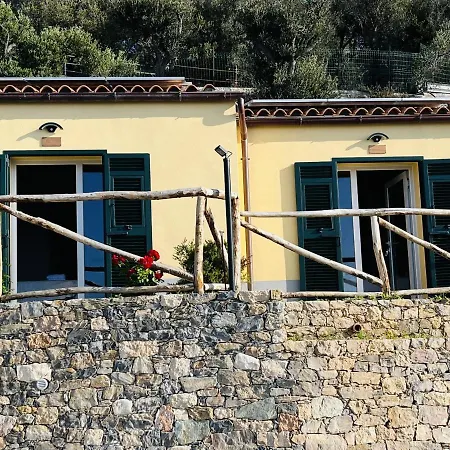 Eufonia del Mare-2