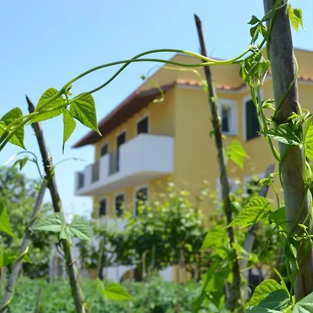 B&B La Vigna - Ischia Ponte-3