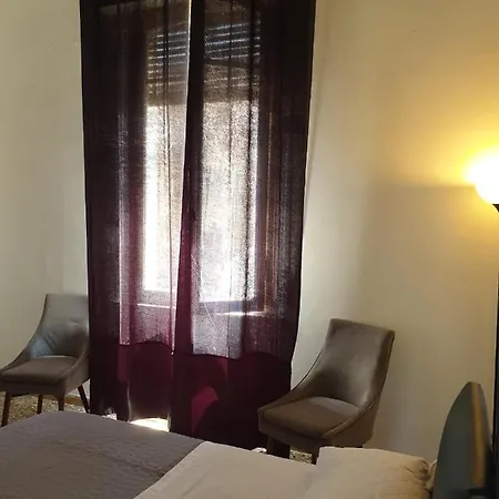 Camere King-3