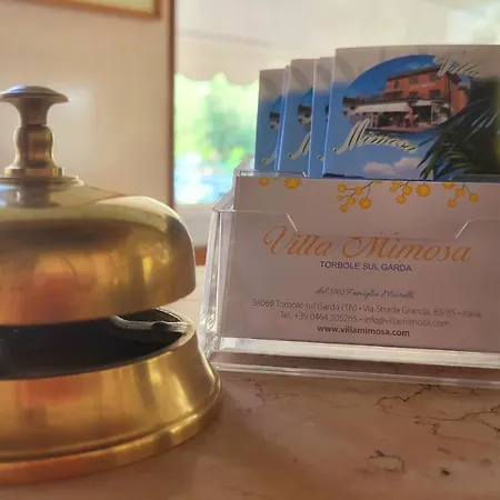 Albergo Villa Mimosa-3