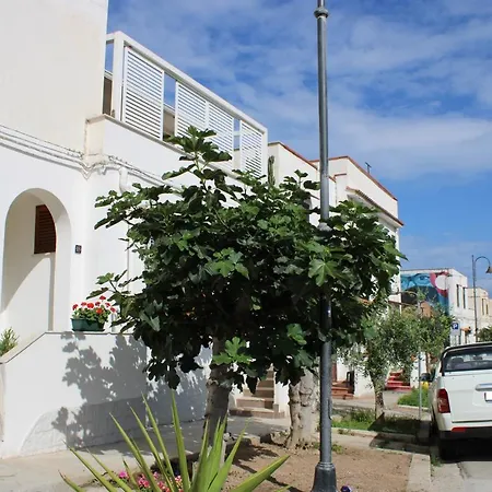 B&B Marco Polo-2