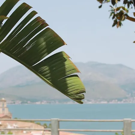 Clori Gaeta-2