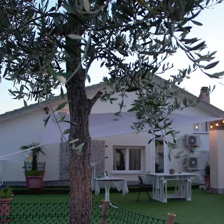 Terrazza Zalamella Bed&Breakfast-3