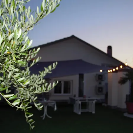 Terrazza Zalamella Bed&Breakfast-2