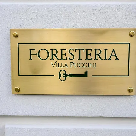 Foresteria Villa Puccini Casa per Ferie-Holiday Home-2