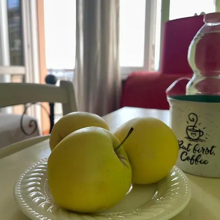 B&B Sarien-3