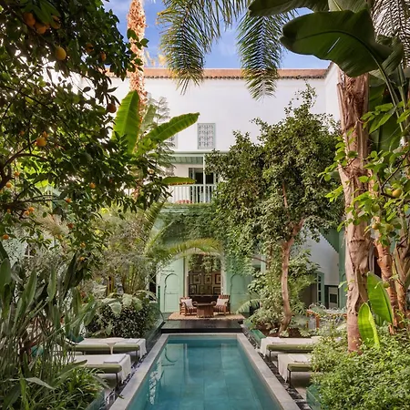 Riad Kitula-2