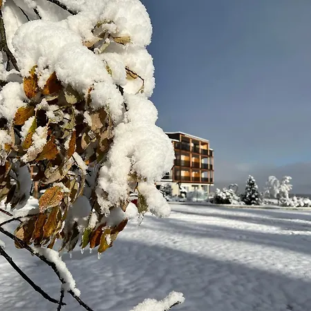 Hotel Lech Da Sompunt-2