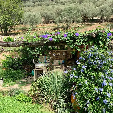 B&B Cà de Badin-3