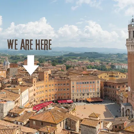 Blossoms Of Siena, Adults Only-2
