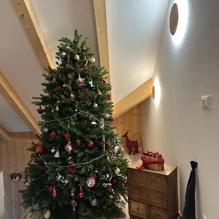 Nido di Laura-2