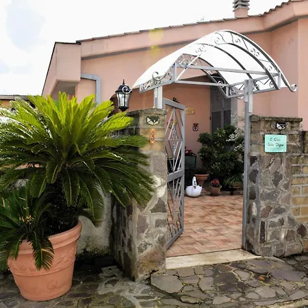 L'Oasi delle Vigne-2