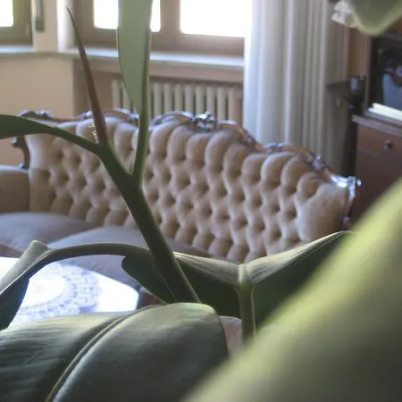 B&B Samuel-2