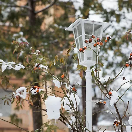 Hotel Elephant-3