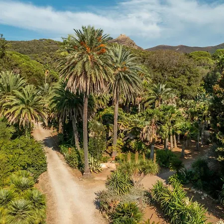 Camping Village Rosselba Le Palme-2
