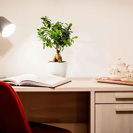 Tetide Home-2