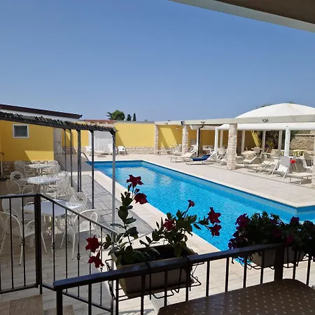 B&B Freezone-3