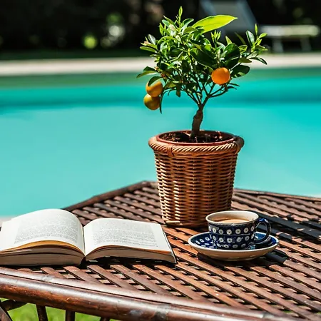 Rovezzano B&B-3