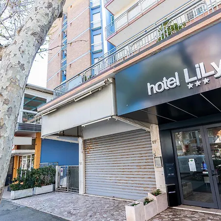 Hotel Lily-2