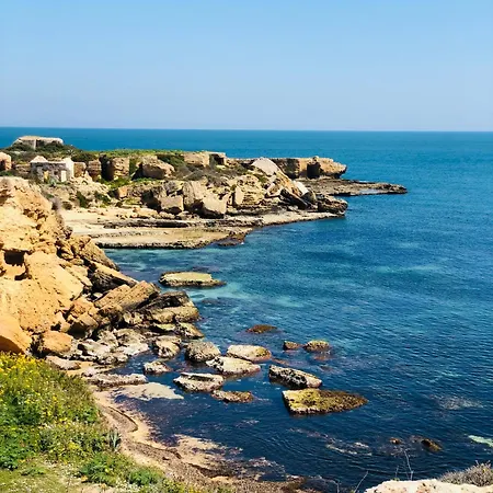I Cinque Mori DEVA-3