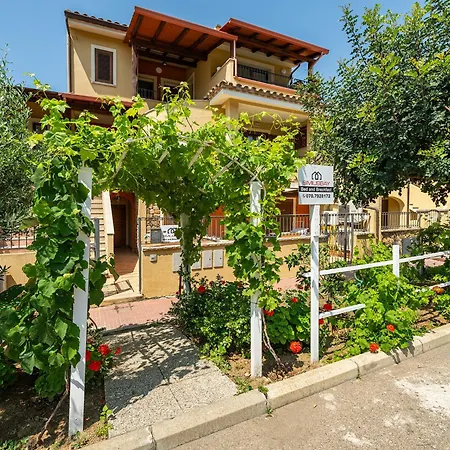 Simius Bay-3