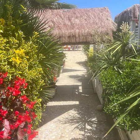 VALLELY la collina sul mare B&B d'Abruzzo-2