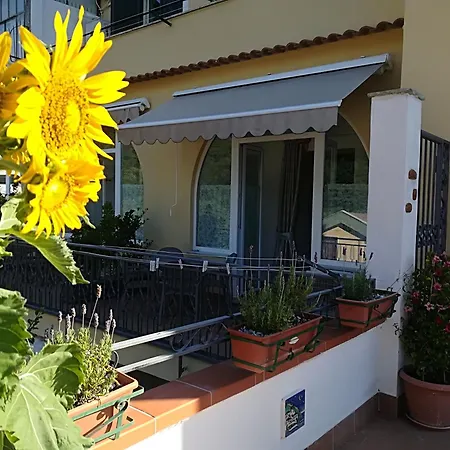 Il Covo delle Civette-2