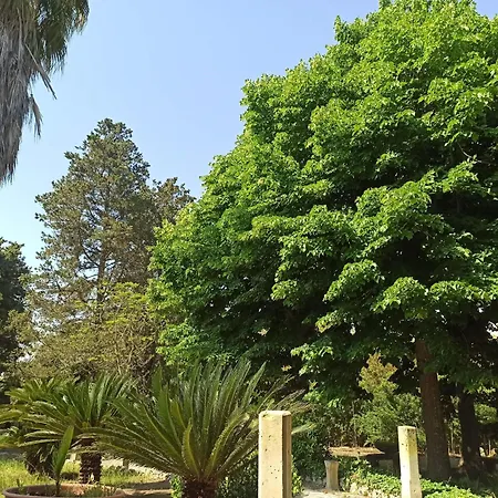 La Pineta-3
