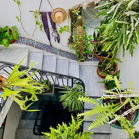 Alvorada Rooms-3