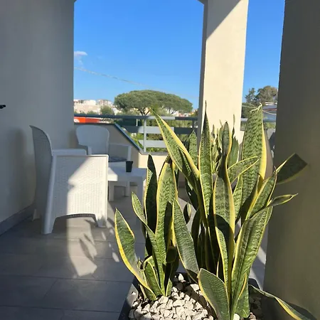 Casa Corallium-3