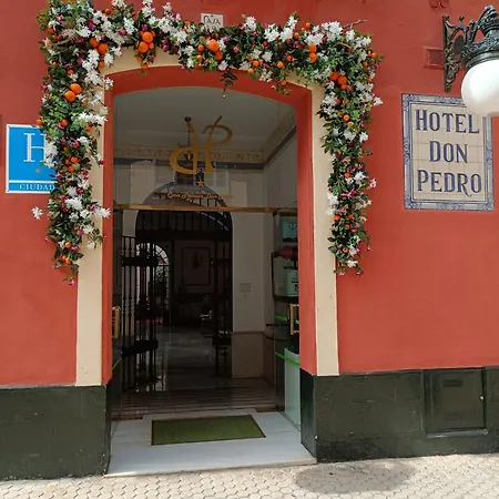 Casa Palacio Don Pedro-3