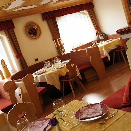 Alpine Touring Hotel-Petfriendly-3
