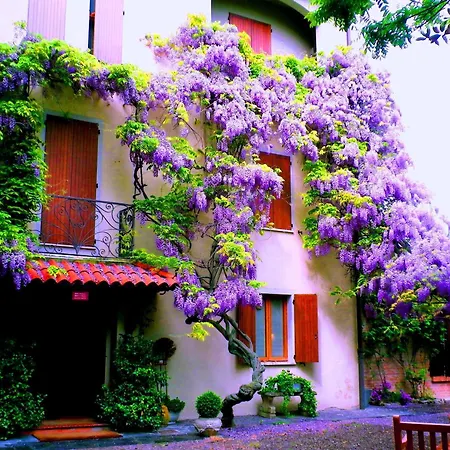 Country Hotel Le Querce-3
