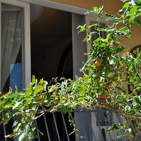 Hotel Corallo Garnì-3