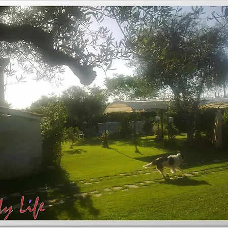 Mylife B&B Country House-3