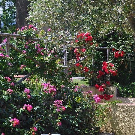 Hotel Tirrena Bike & Country Hotel-2