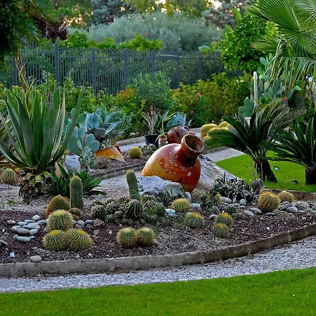 Il Giardino del Tè-3