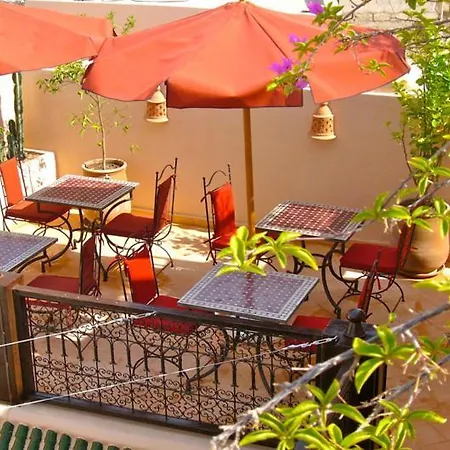 Riad Rabahsadia-3