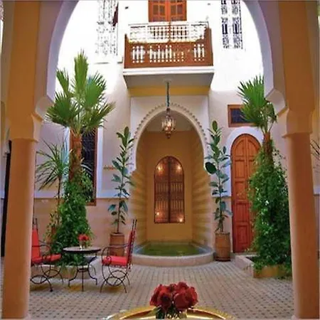 Riad Rabahsadia-2