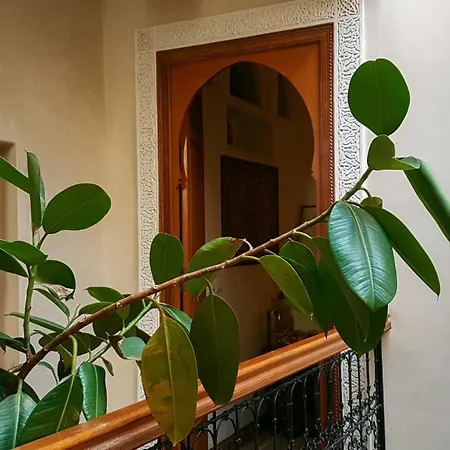 Riad Gallery 49 & Spa-2