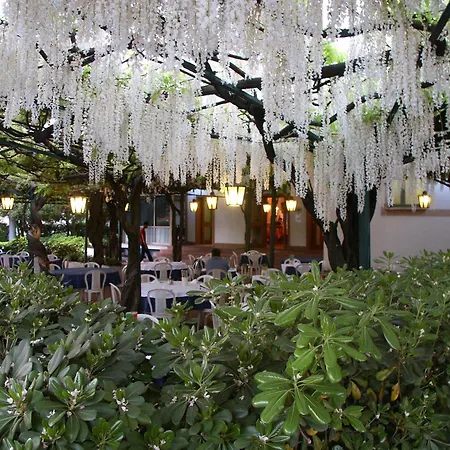 Albergo Ristorante Papa-3