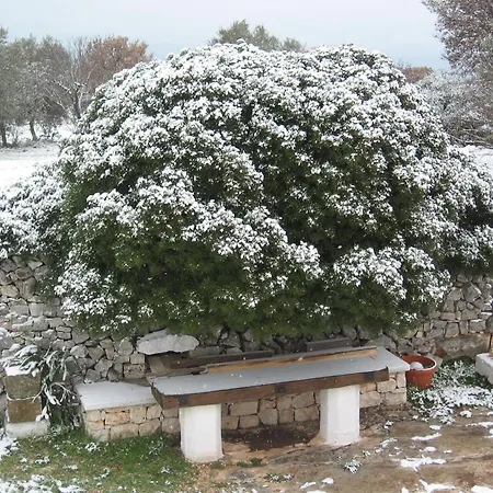 B&b Cinque Stalle-2