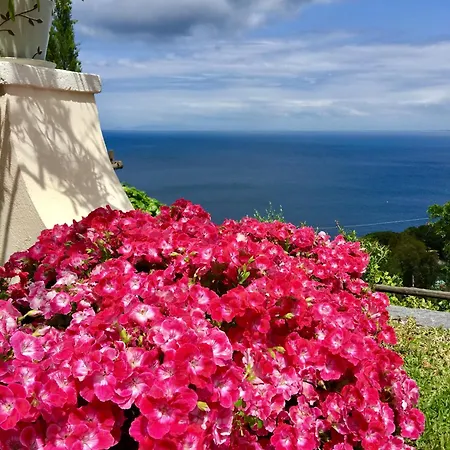 Agapanto Luxury Accommodation-3