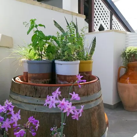 Casa Flora - Bed And Breakfast-3