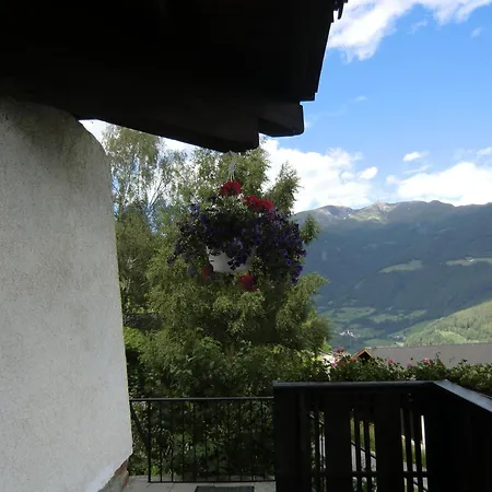 Alpenblick Bed & Breakfast-2