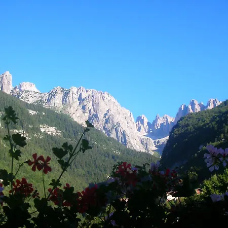 Garnì Lago Alpino-2