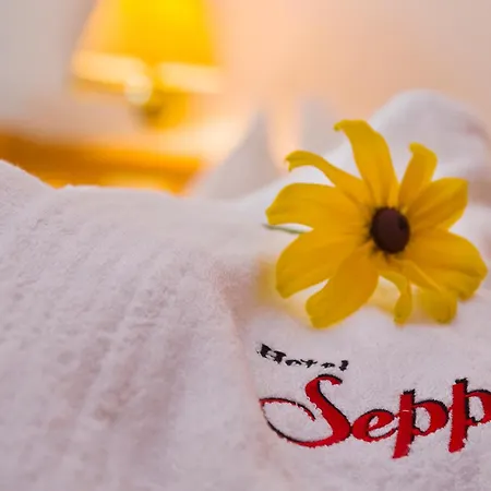 Hotel Seppi-3