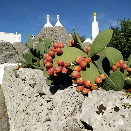 Bed&Breakfast La Collinetta-3