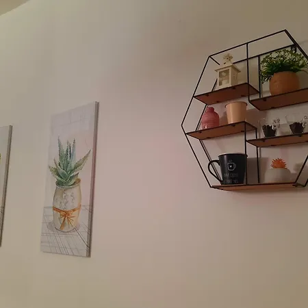 B&B Solimo-2