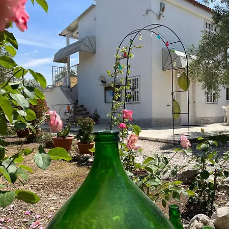 B&B Villa Mediterranea With Private Parking-3